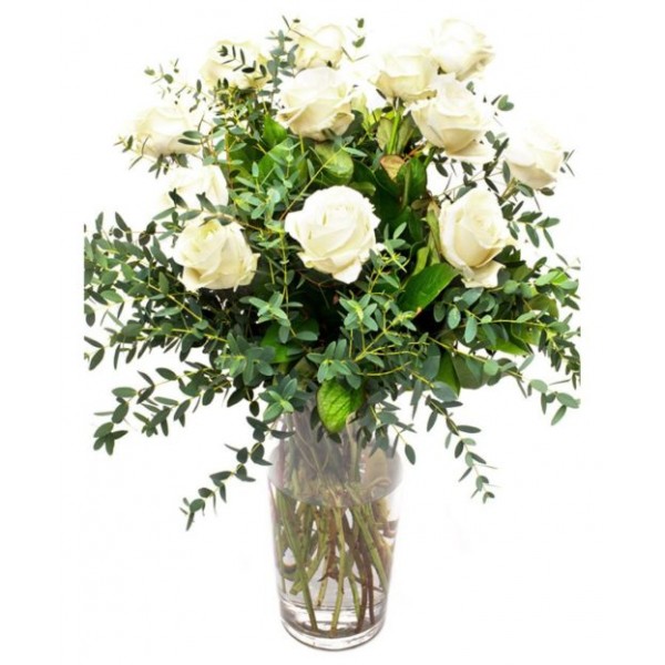 White Avalanche Roses for Home or Office